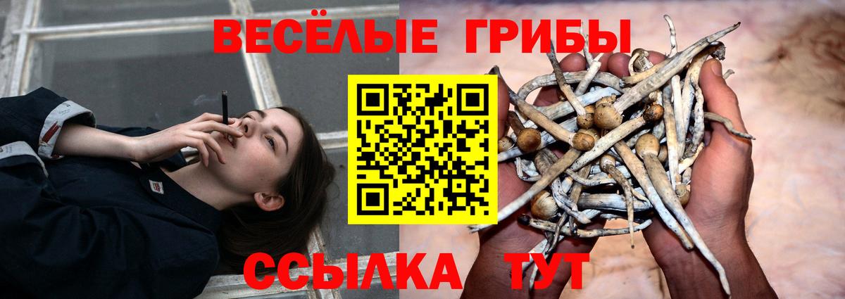Галлюциногенные грибы прущие грибы Верхняя Салда